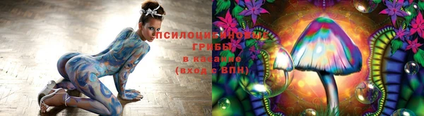прущие грибы Белоозёрский